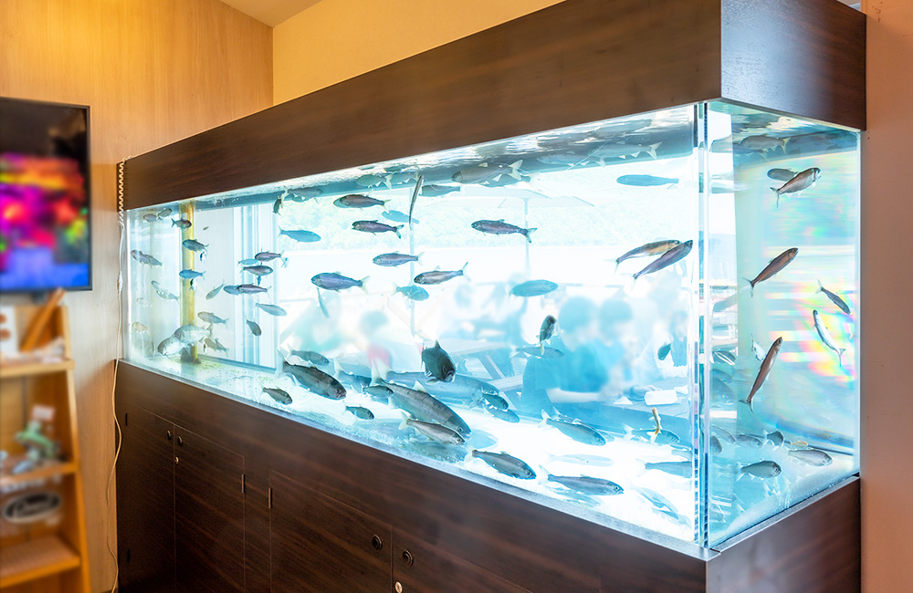 活魚水槽レンタル