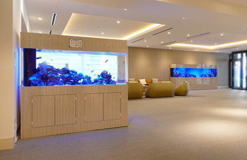 広い場所にレンタルした水槽