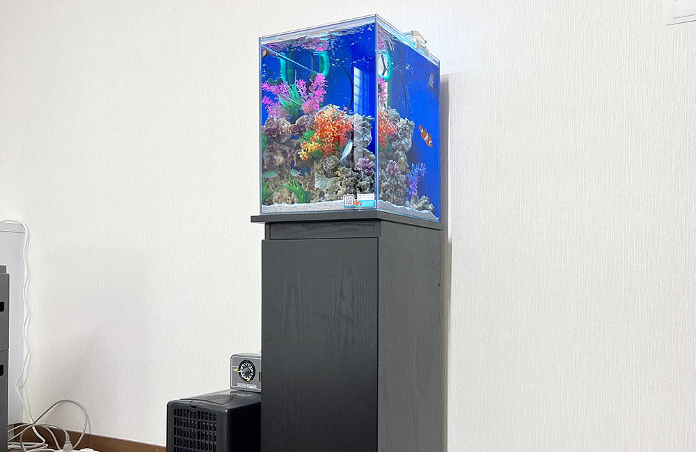 30cm水槽レンタル