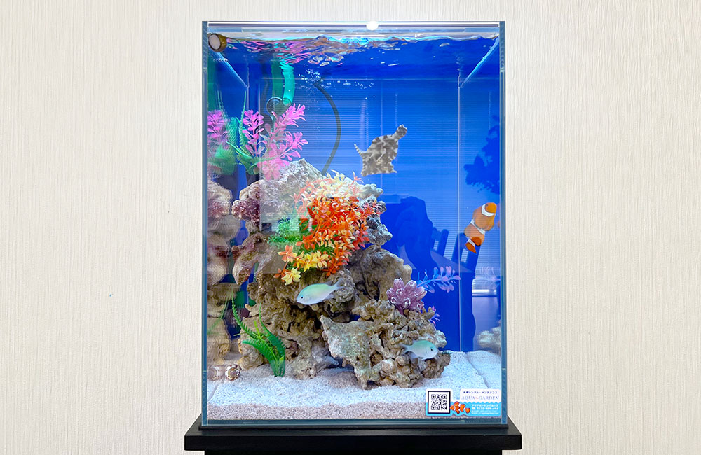 高さを生かしたミニ水族館！