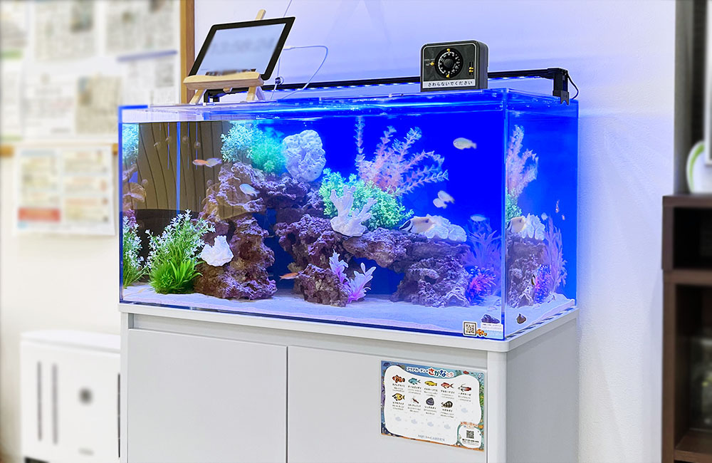 クリニックに90cm海水魚水槽を設置