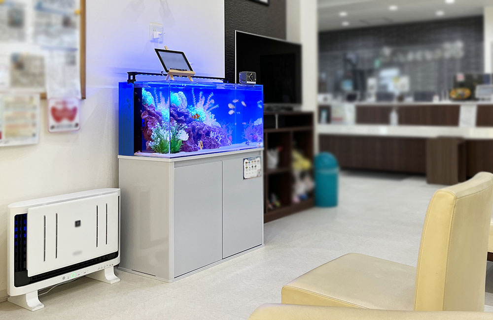 専門クリニック 水槽