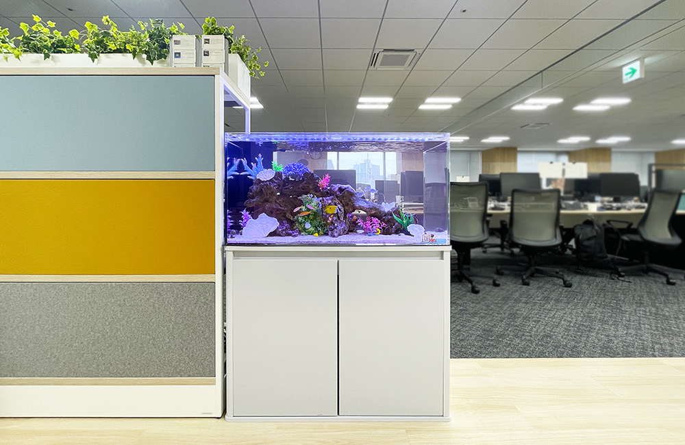 オフィス 水槽レンタル