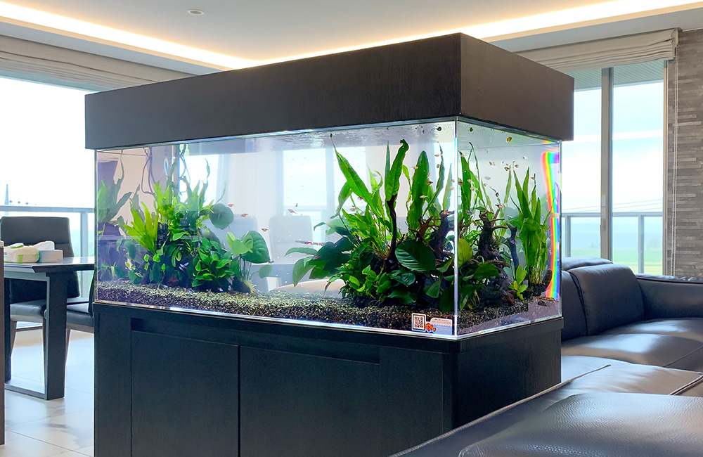 企業保養所に120cm淡水魚水槽を設置