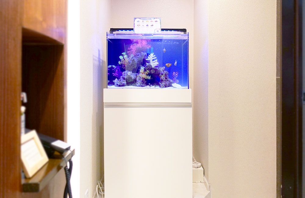 M法律事務所 様のレビュー