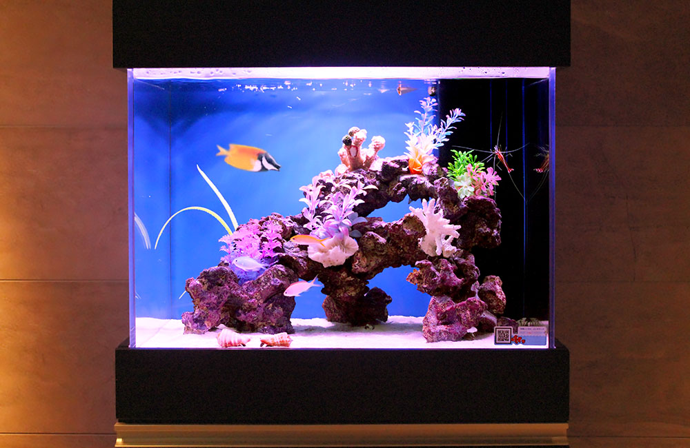 60cm海水魚水槽のレンタル・リース料金について