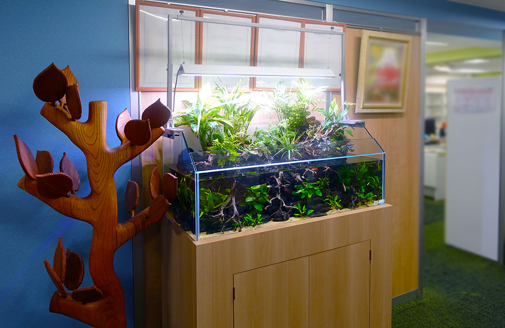 アクアテラリウム水槽レンタル