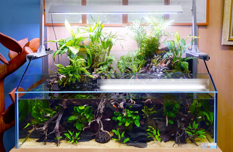 アクアテラリウム