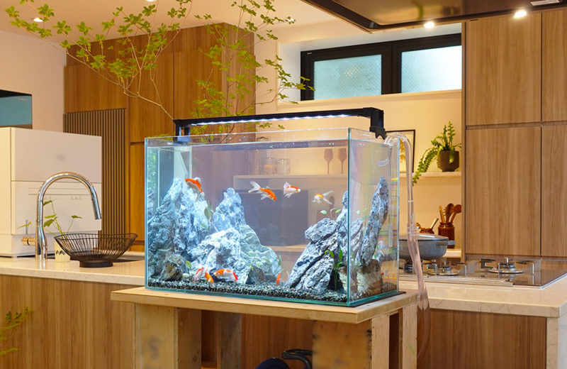 水槽短期レンタル