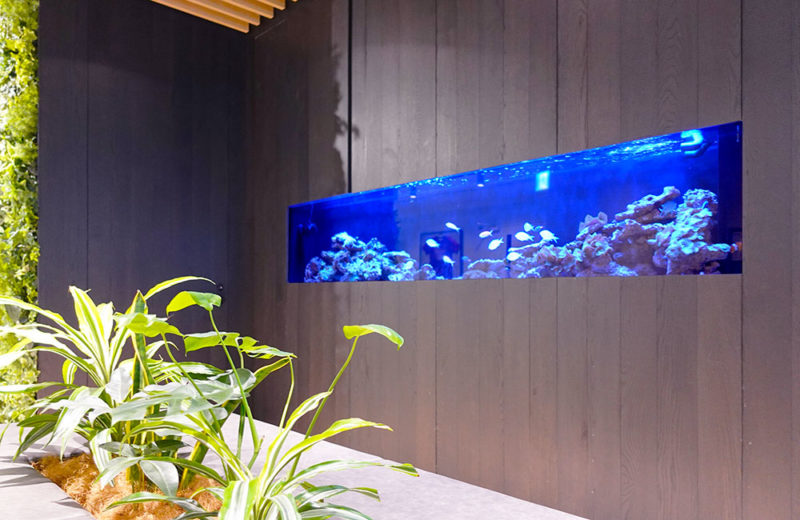 壁埋め込み水槽