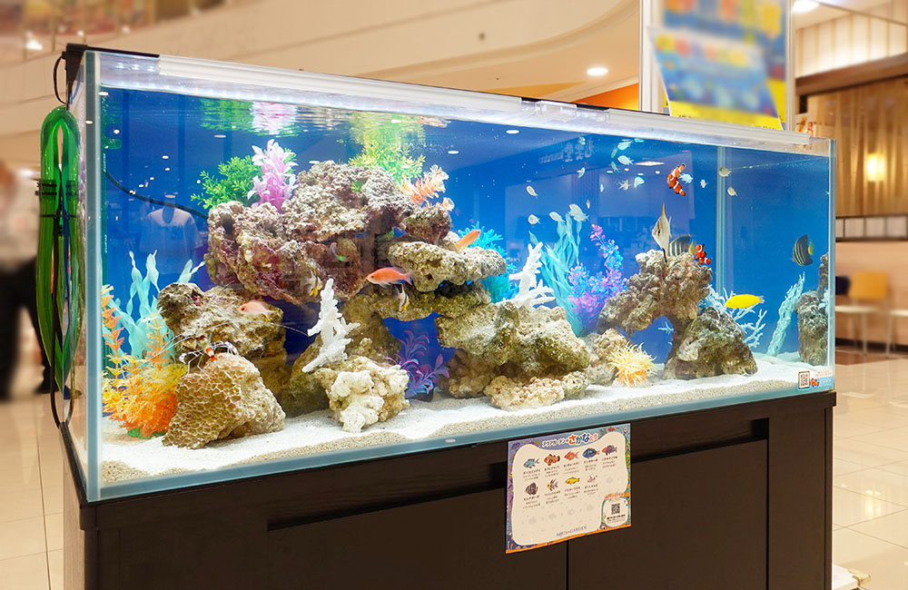 短期イベントの海水魚水槽