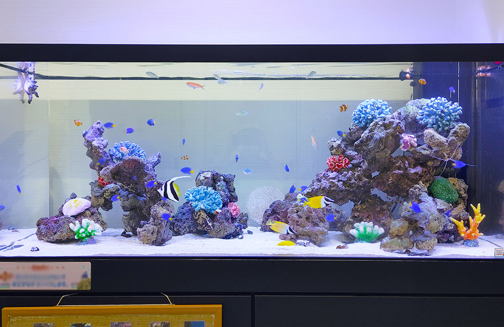 150cm海水魚水槽のレンタル・リース料金について