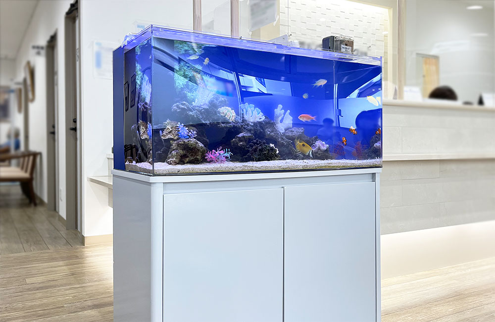海水魚水槽レンタル