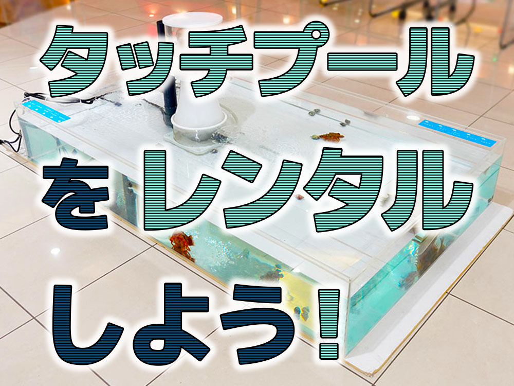 タッチプールをレンタルしよう！設置のメリットと活用方法・事例