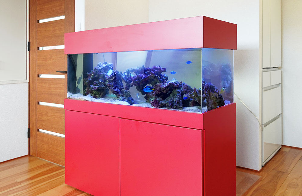 特注水槽台 水槽レンタル