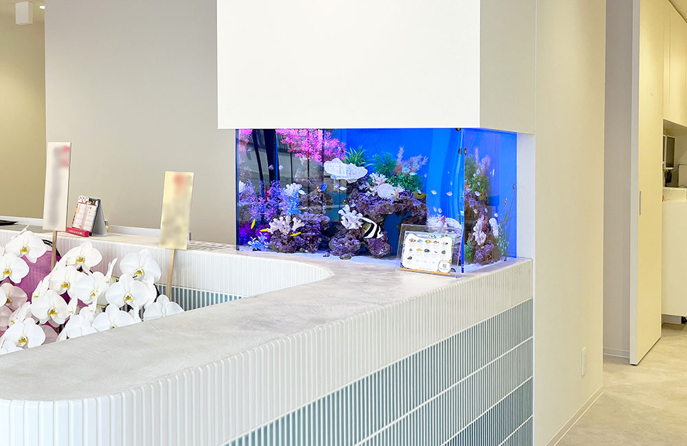 病院・クリニック 水槽一式販売・設置