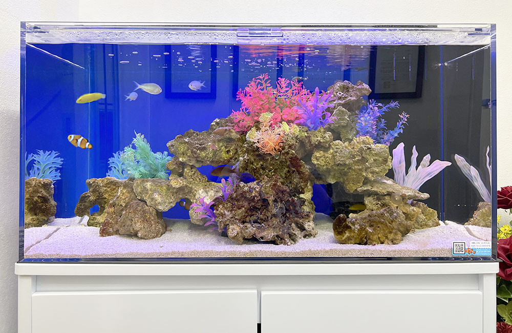 迫力がある水槽でお客様をお出迎え