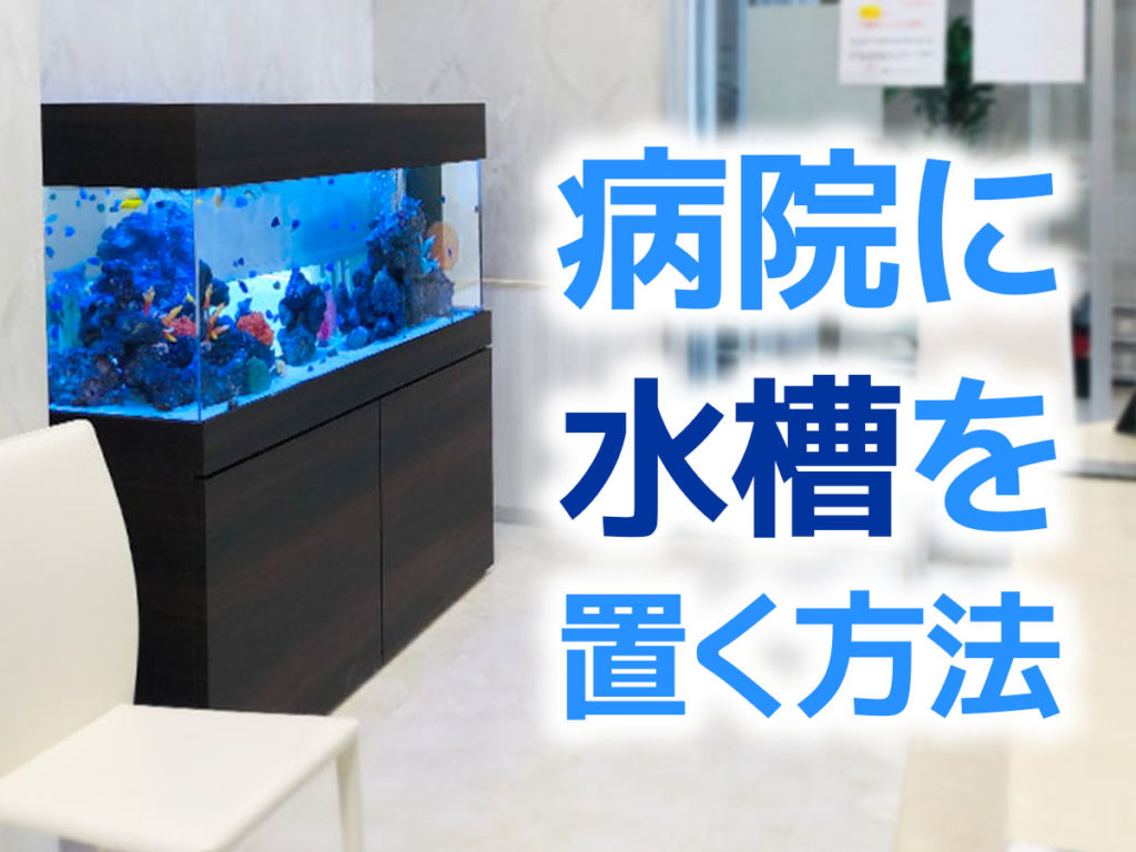 病院に水槽を置く方法！病院・クリニックで水槽レンタルを利用する流れと費用