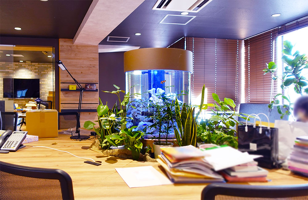 円柱水槽のレンタル・リース料金について