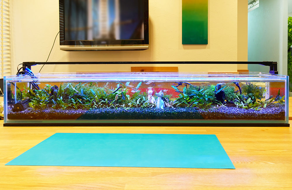 水平ラインレイアウトの特注水槽