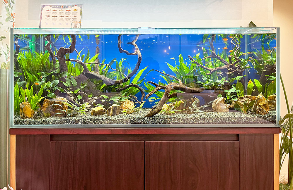 新規開業クリニックの看板インテリア