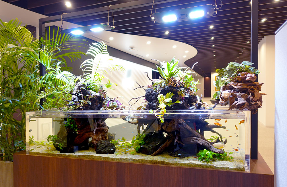 アクアテラリウム