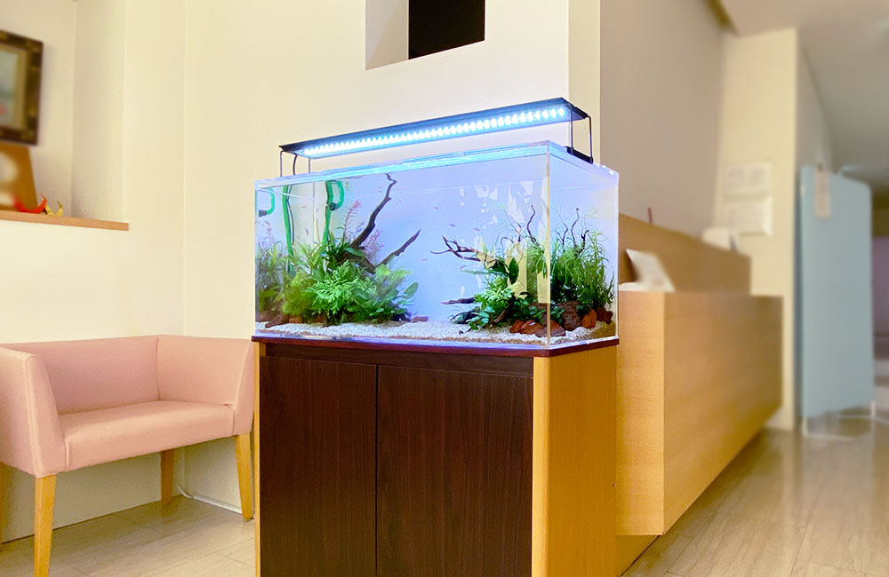 病院・クリニック 水槽レンタル