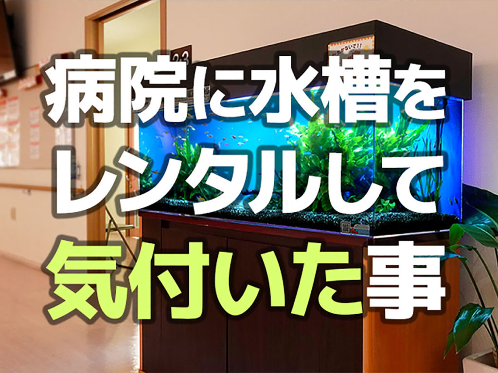 病院に水槽をレンタルして気付いた事5つのレビュー！集患に繋がる活用法