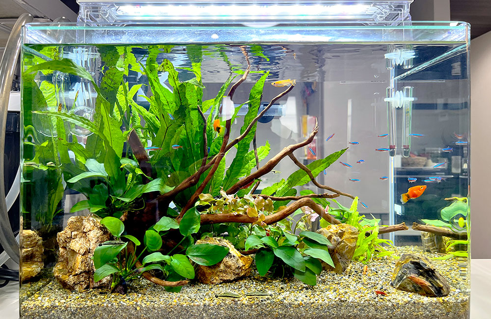 水槽スポットメンテナンス