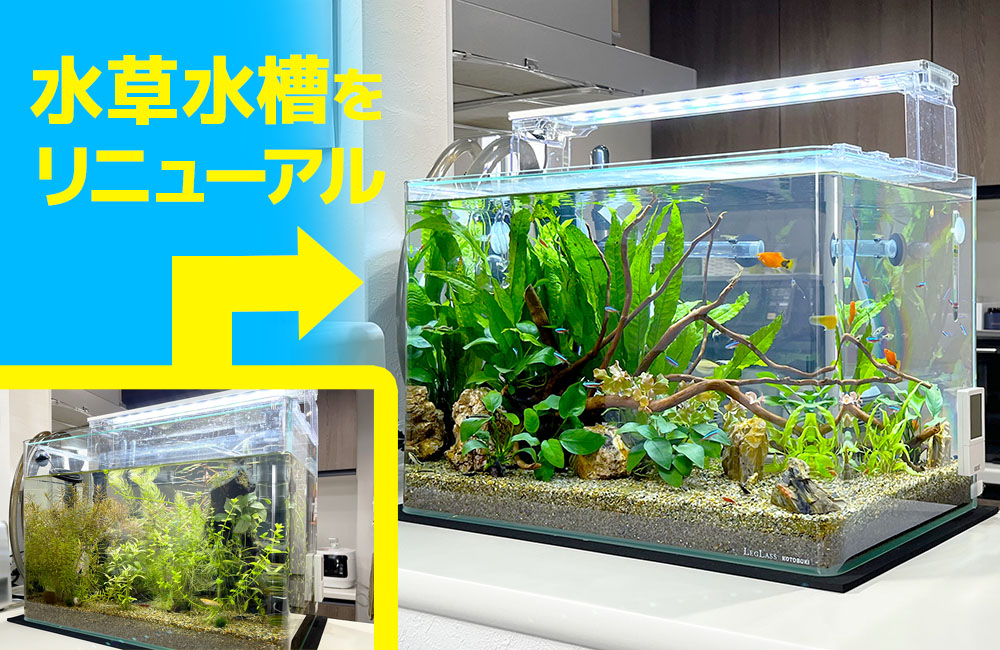 水槽レンタル Ｑ＆Ａ メンテナンス代行