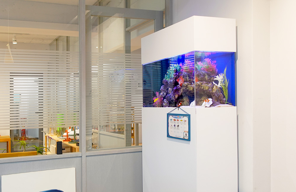 水槽レンタル Ｑ＆Ａ 場所