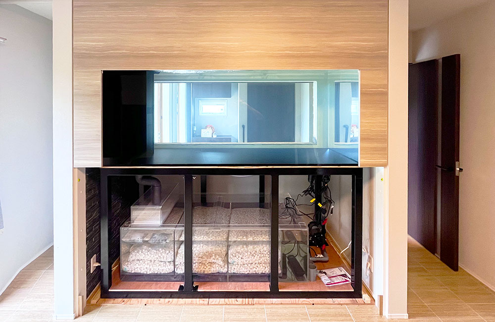 水槽レンタル Ｑ＆Ａ 販売