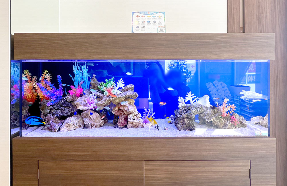 歯科クリニックに設置、院長こだわりの水槽