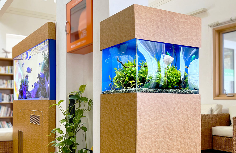 水槽レンタル Ｑ＆Ａ 音