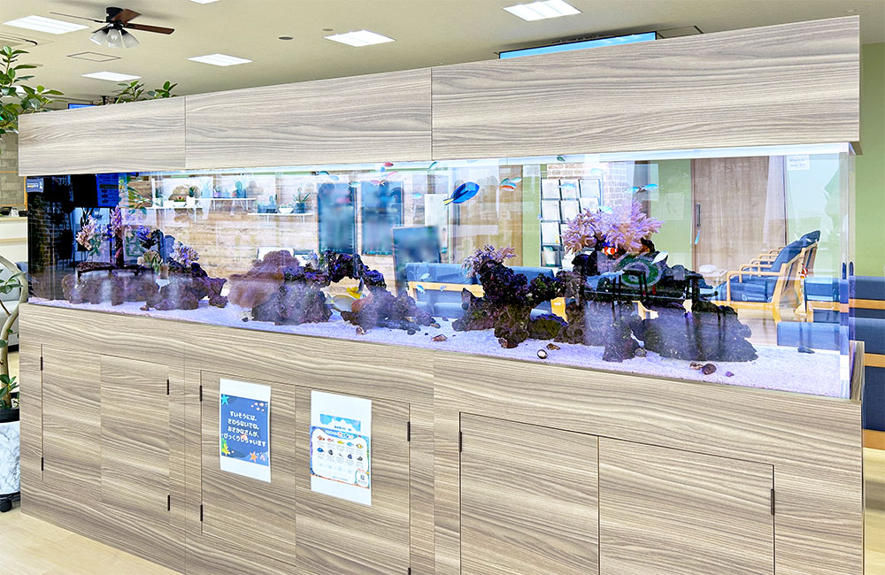 150cm以上の大型水槽