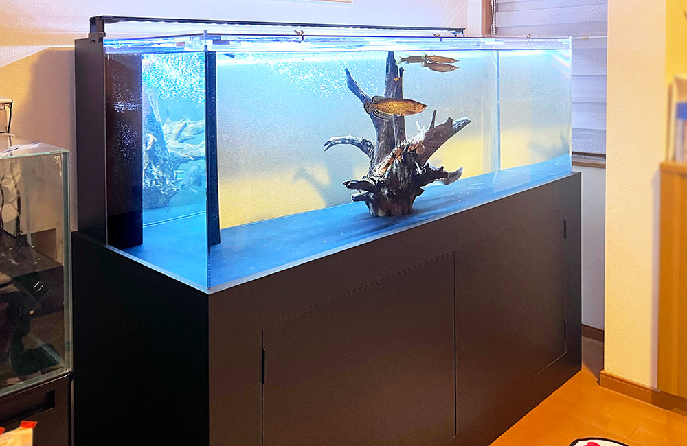 150cmの特注水槽を販売・設置