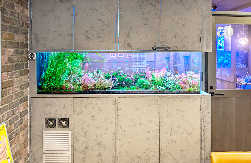 魚レンタル Ｑ＆Ａ