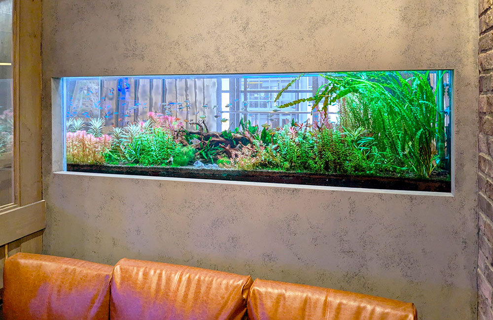 水槽リースサービス