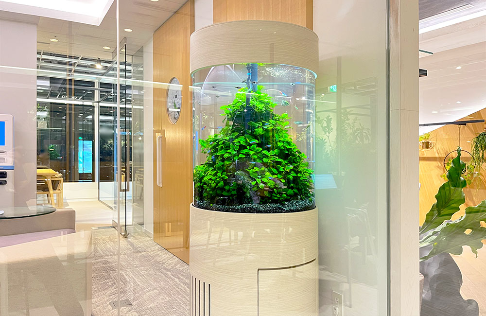 水槽レイアウト事例