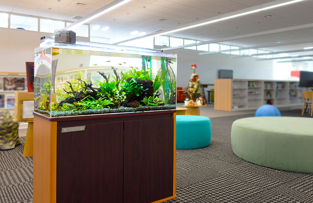 水槽レイアウト事例