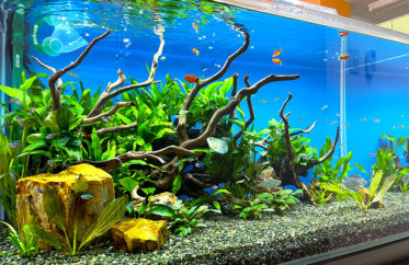 最新コラム一覧