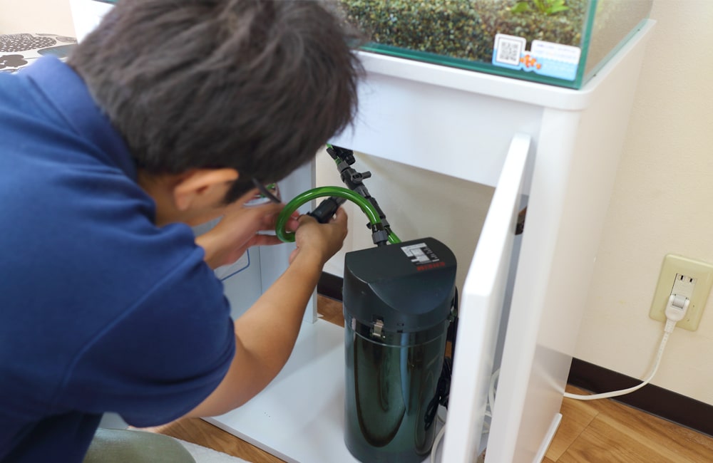 水槽メンテナンス