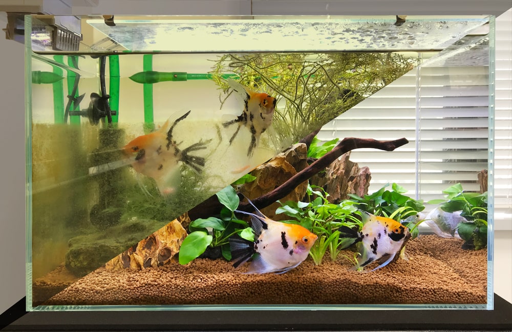 水槽リニューアルサービス