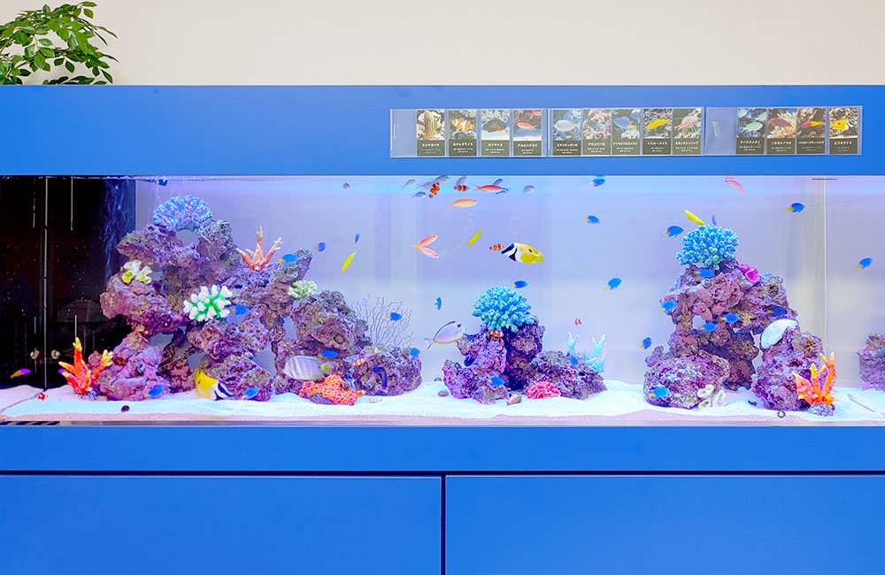 企業様の1.8ｍ海水魚水槽