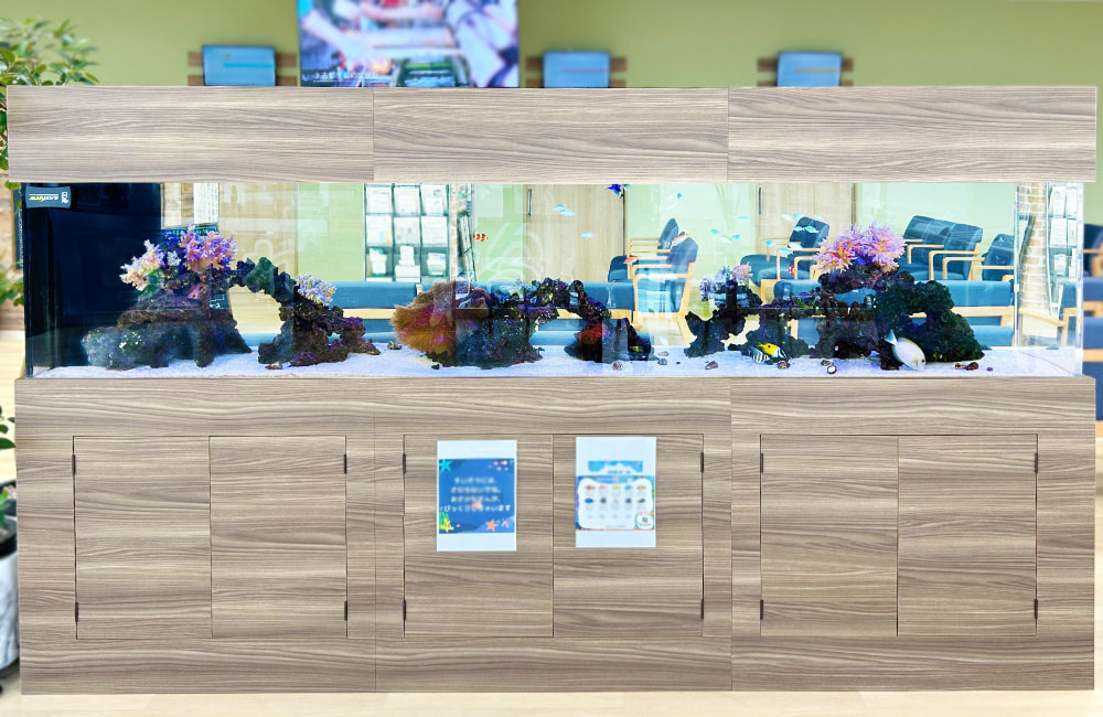 特注特大サンゴ水槽は見どころたっぷり