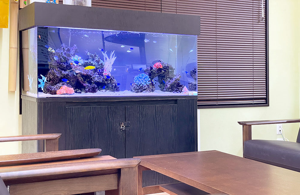 水槽レイアウト事例