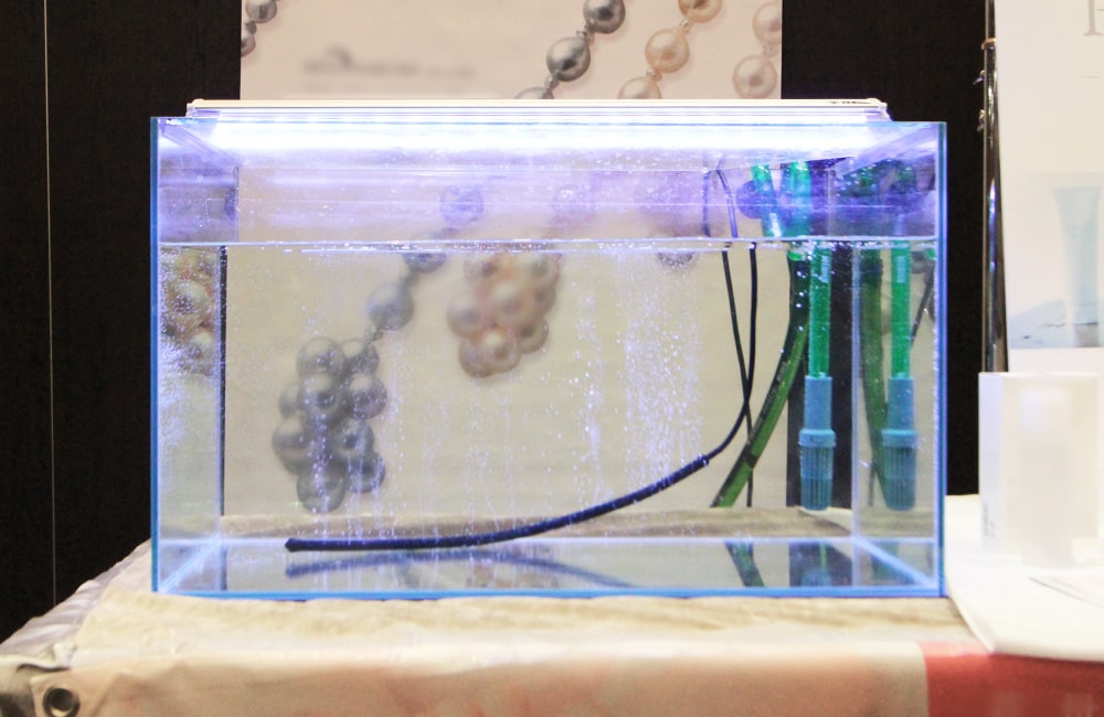 東京アクアガーデン 水槽デザイン ベアタンク