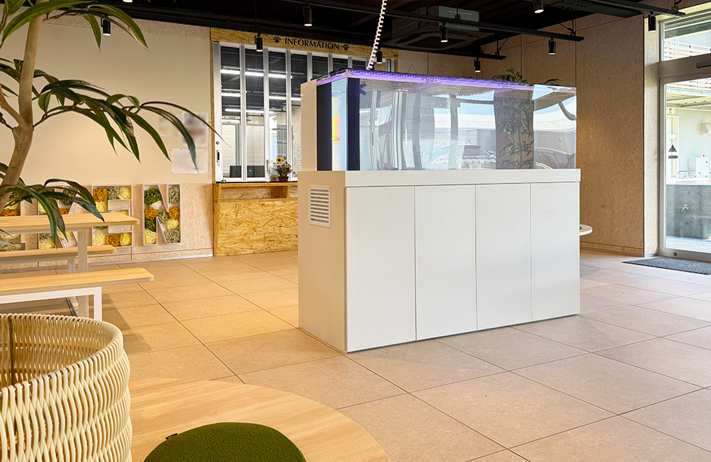 水槽レンタル Ｑ＆Ａ 販売はやっていますか