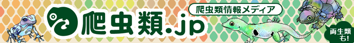 爬虫類JP