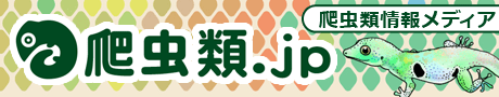 爬虫類JP